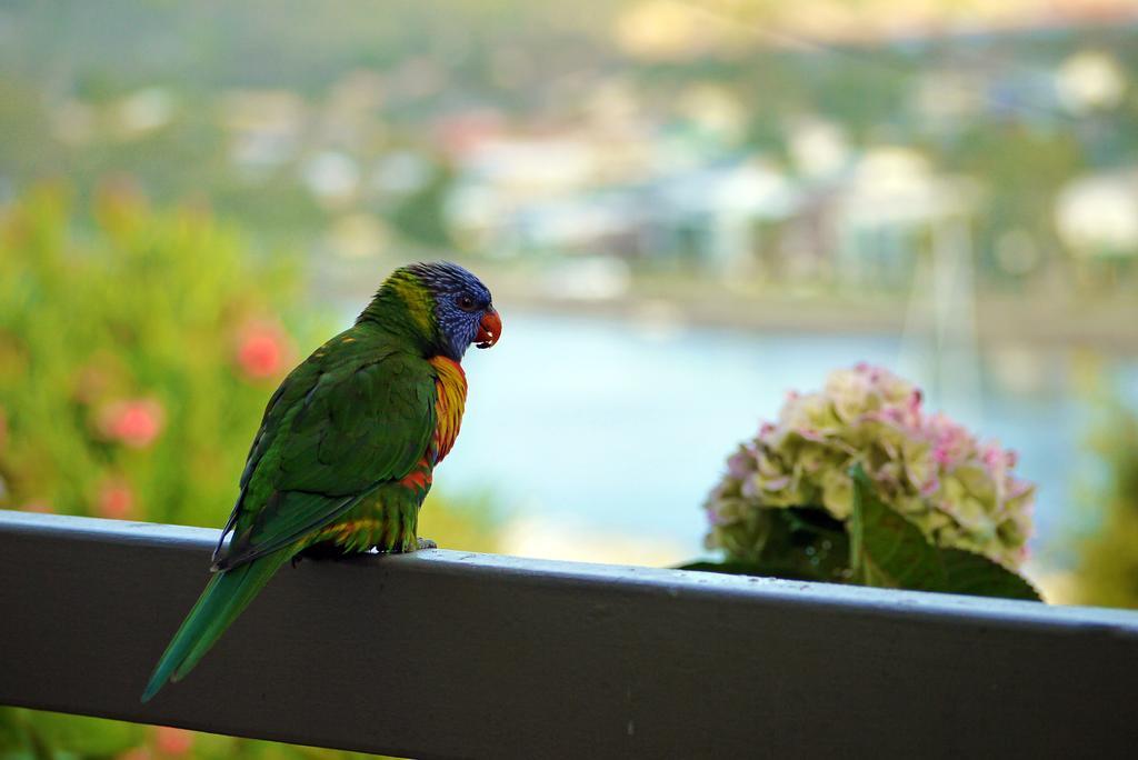 Hydra Holiday Units Merimbula Bagian luar foto